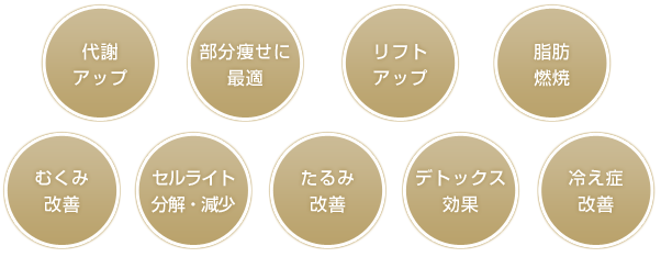 パーフェクトスリミングの特徴